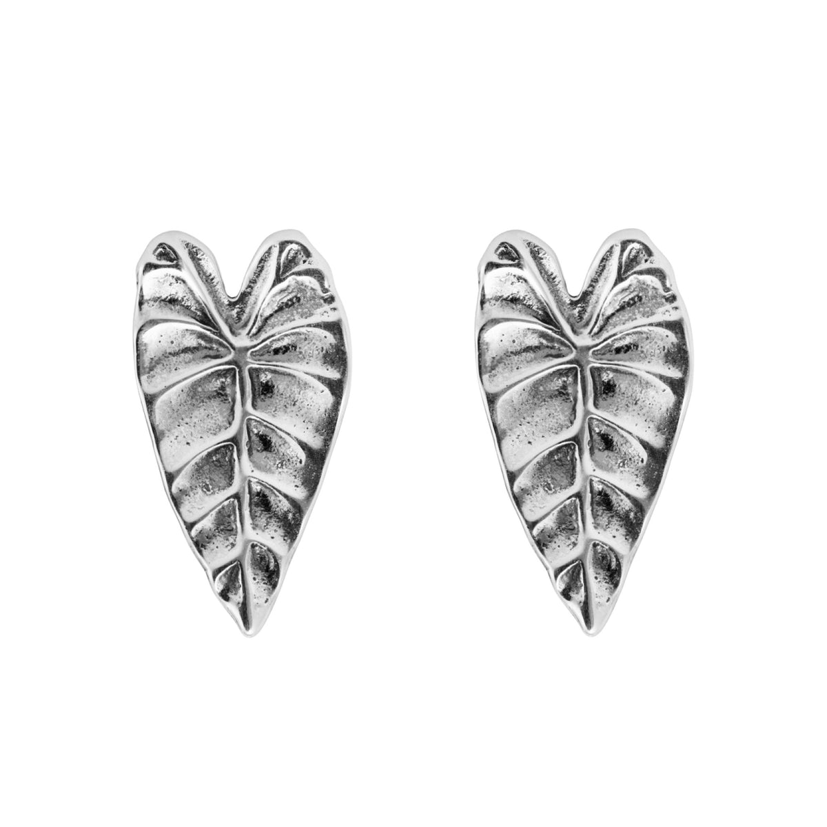 ALOCASIA - Sterling Silver Studs